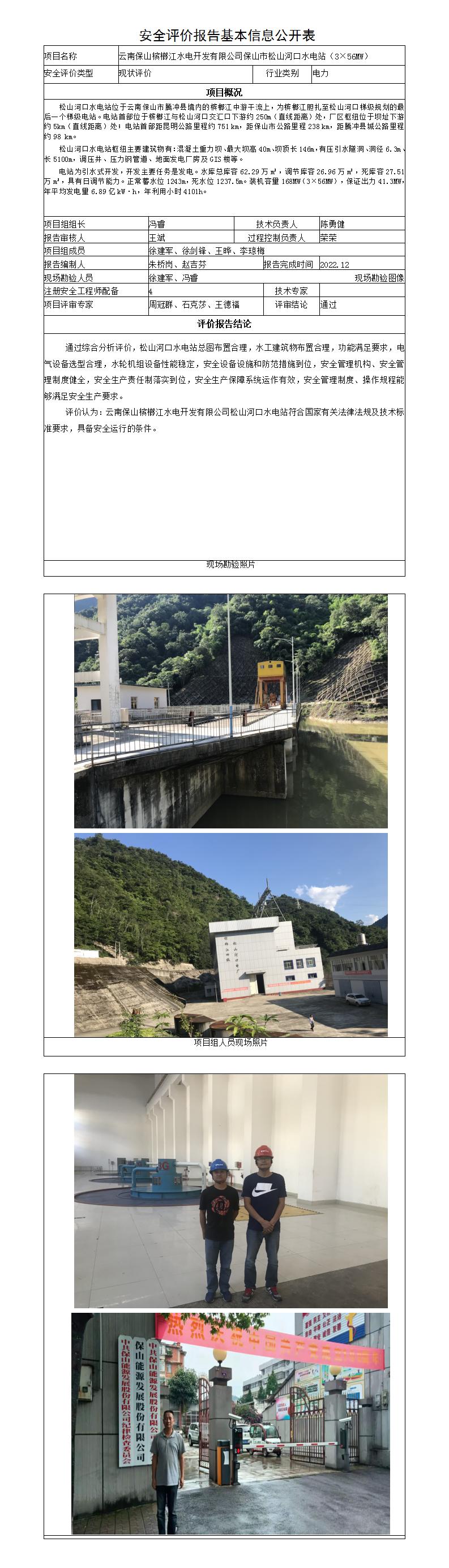 安全评价报告基本信息公开表（松山河口）