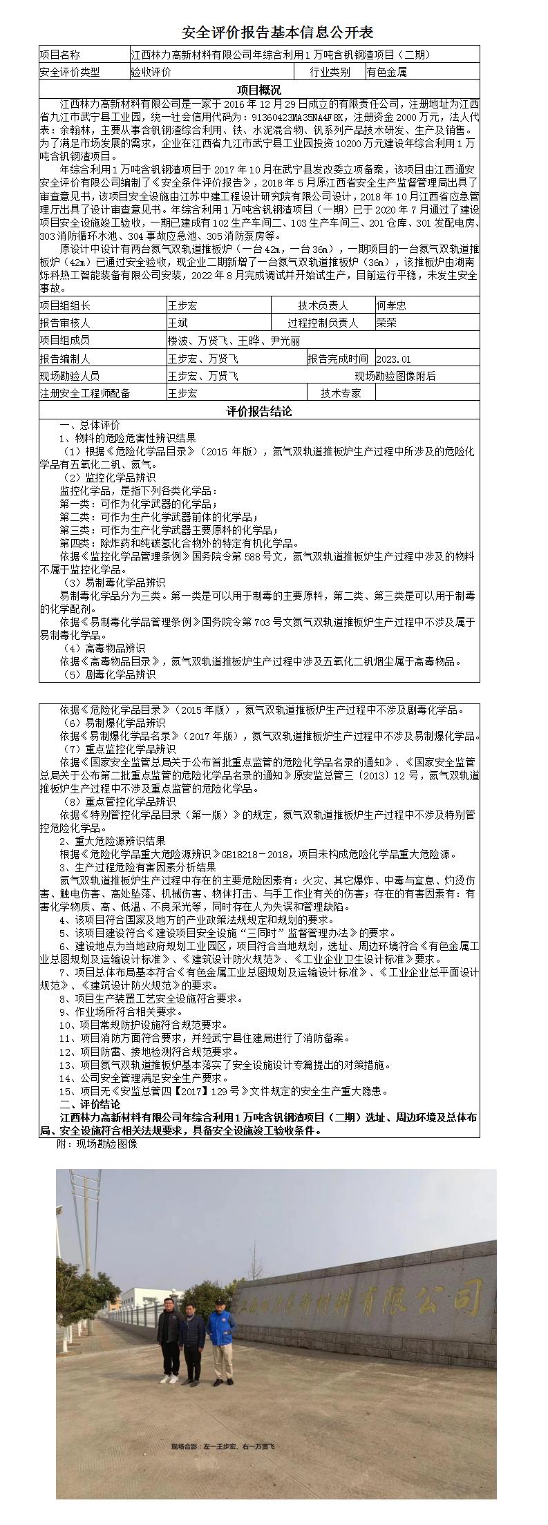 安全评价报告基本信息公开表（林力）