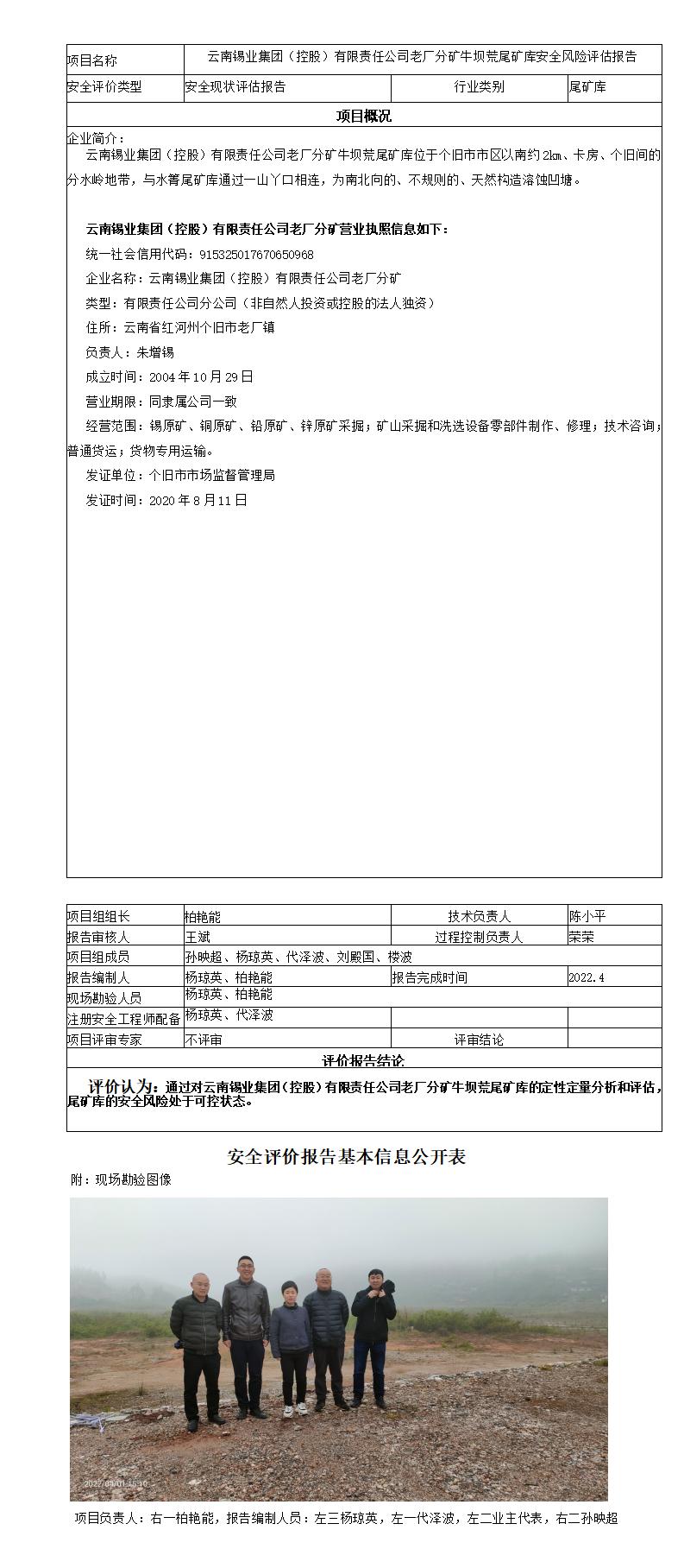 云南锡业集团（控股）有限责任公司老厂分矿牛坝荒尾矿库安全风险评估报告