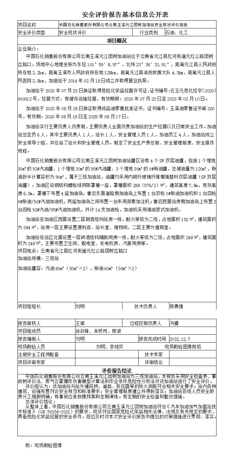 安全评价报告基本信息公开表元江团树