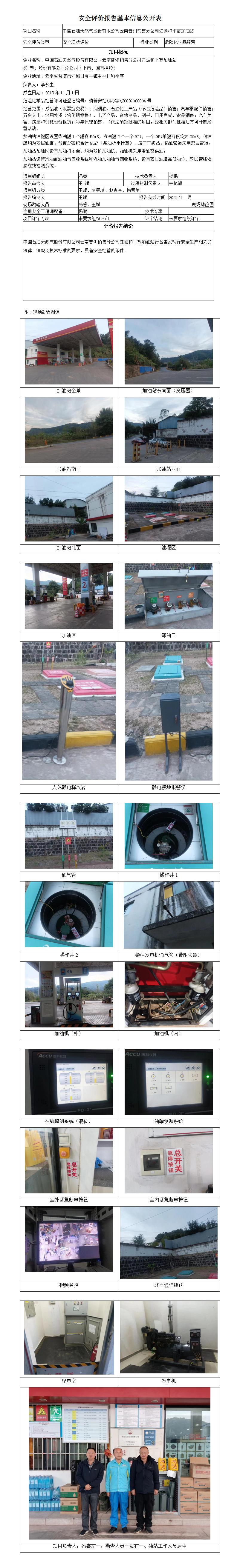 安全评价报告基本信息公开表 (江城和平加油站)
