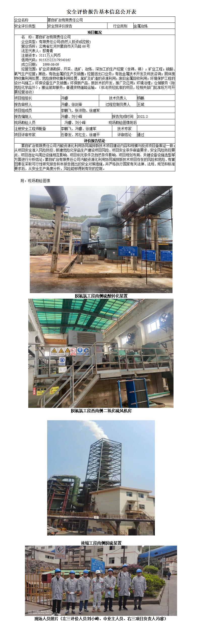 基本信息公开表（蒙自矿冶污酸治理）